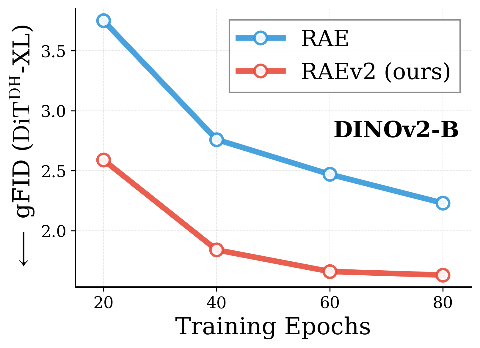 Convergence DINOv2-B