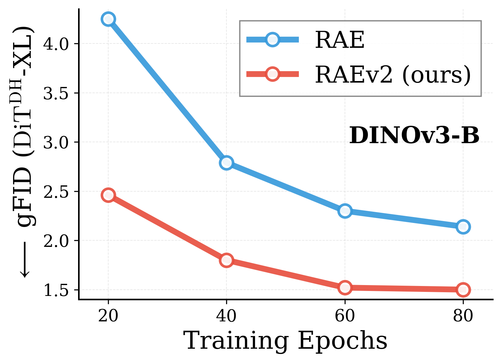 Convergence DINOv3-B