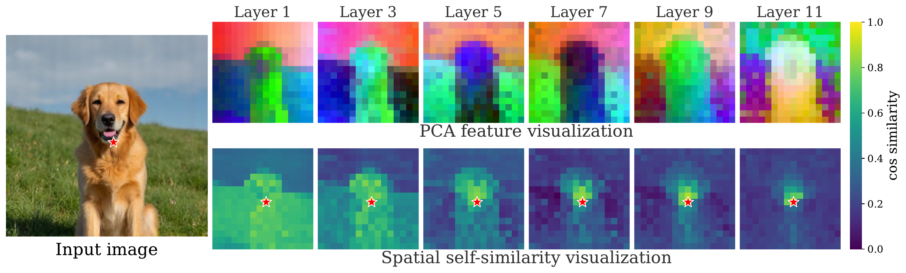 Per-layer feature visualization